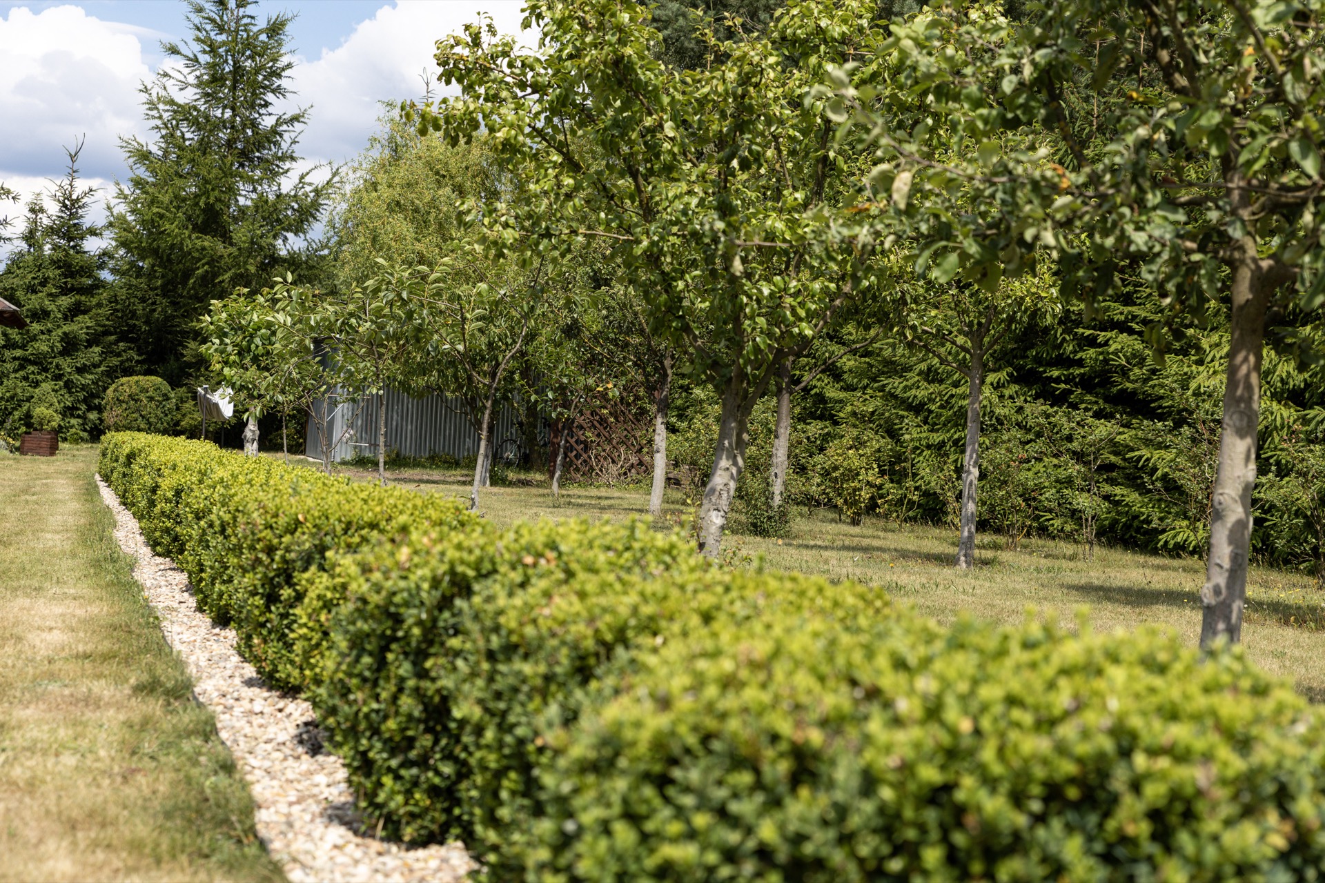 Krajobraz kujawsko-pomorski w pobliżu jeziora