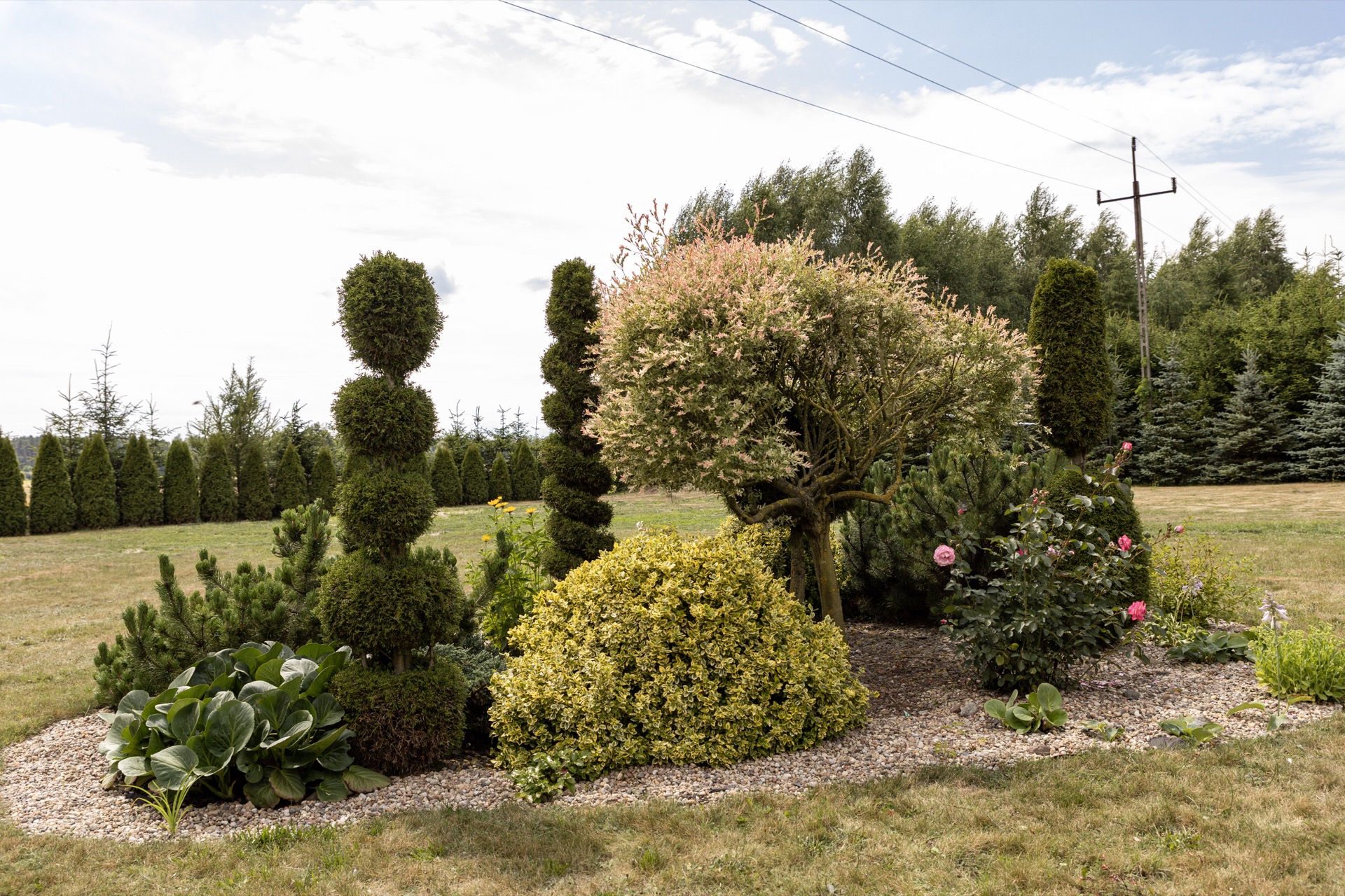 Przyroda wokół jeziora Skrwileńskiego